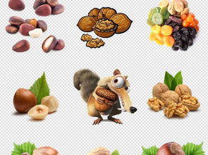 年貨盛宴 堅(jiān)果干果海報(bào)設(shè)計(jì)素材全攻略